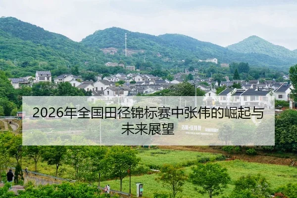 nian-quan-guo-tian-jing-jin-biao-sai-zhong-zhang-wei-de-jue-qi-yu-wei-lai-zhan-wang-2-786.jpg