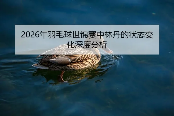 2026年羽毛球世锦赛中林丹的状态变化深度分析