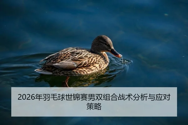 2026年羽毛球世锦赛男双组合战术分析与应对策略