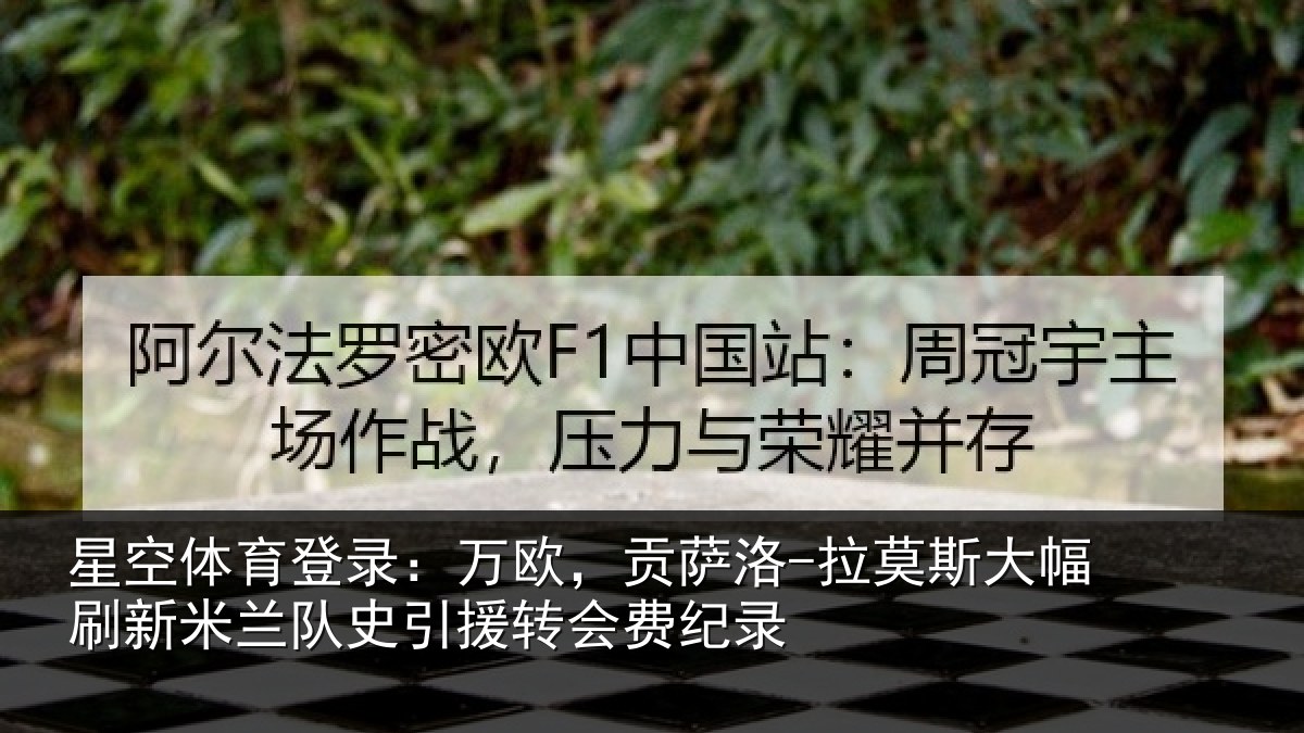 星空体育登录:万欧,贡萨洛-拉莫相关情况史引援转会费纪录