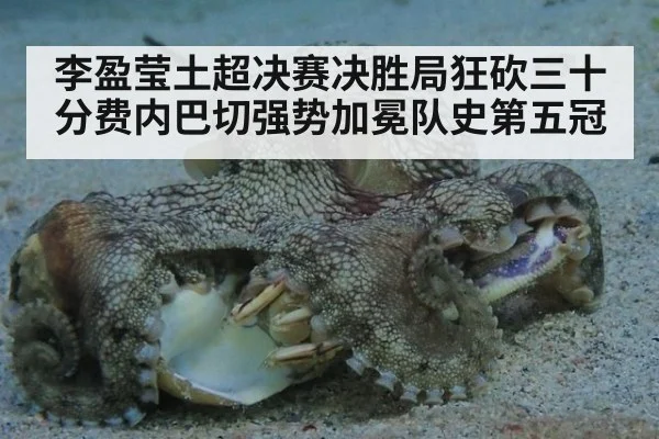 李盈莹土超决赛决胜局狂砍三十分费内巴切强势加冕队史第五冠